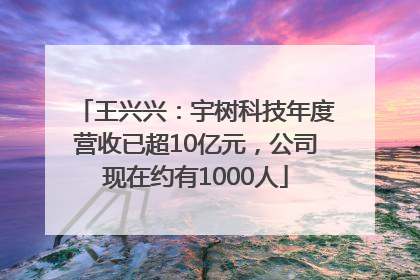 王兴兴：宇树科技年度营收已超10亿元，公司现在约有1000人