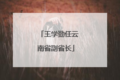 王学勤任云南省副省长
