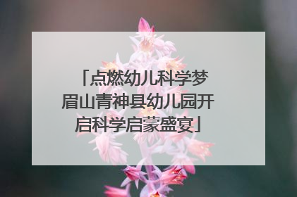 点燃幼儿科学梦 眉山青神县幼儿园开启科学启蒙盛宴