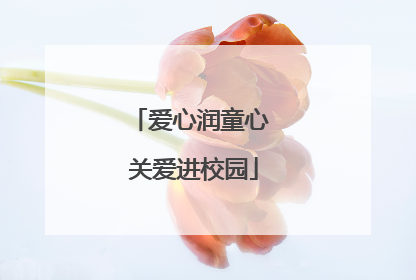 爱心润童心 关爱进校园