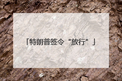 特朗普签令“放行”