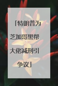 特朗普为芝加哥黑帮大佬减刑引争议