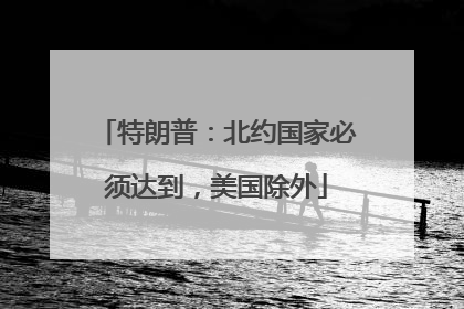 特朗普：北约国家必须达到，美国除外