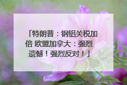 特朗普：钢铝关税加倍 欧盟加拿大：强烈遗憾！强烈反对！
