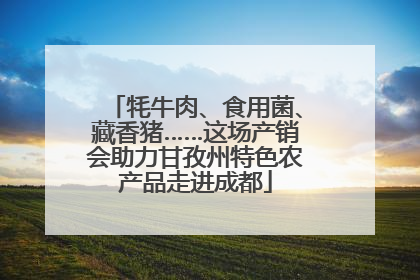牦牛肉、食用菌、藏香猪……这场产销会助力甘孜州特色农产品走进成都
