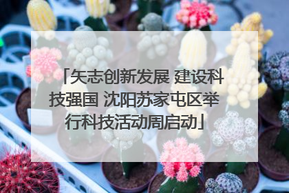 矢志创新发展 建设科技强国 沈阳苏家屯区举行科技活动周启动