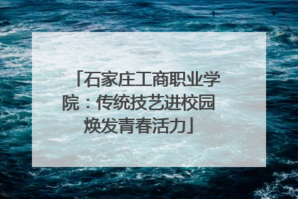 石家庄工商职业学院：传统技艺进校园焕发青春活力