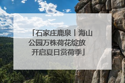 石家庄鹿泉丨海山公园万株荷花绽放 开启夏日赏荷季