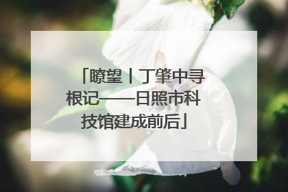 瞭望丨丁肇中寻根记——日照市科技馆建成前后