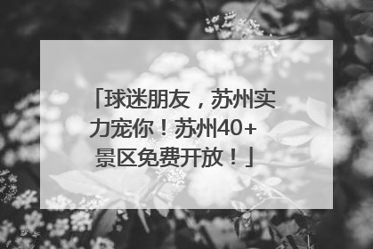 球迷朋友，苏州实力宠你！苏州40+景区免费开放！