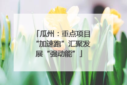 瓜州：重点项目“加速跑”汇聚发展“强动能”