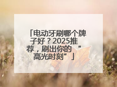 电动牙刷哪个牌子好？2025推荐，刷出你的 “高光时刻”