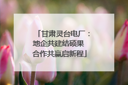 甘肃灵台电厂：地企共建结硕果 合作共赢启新程