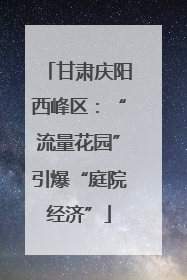 甘肃庆阳西峰区：“流量花园”引爆“庭院经济”