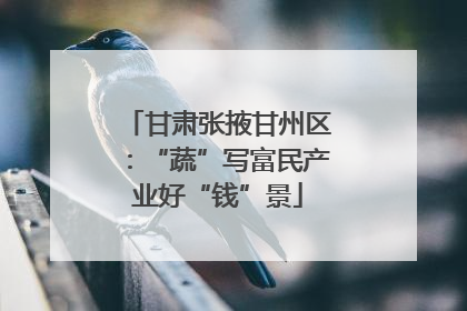 甘肃张掖甘州区：“蔬”写富民产业好“钱”景