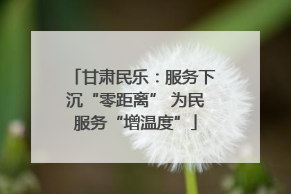 甘肃民乐：服务下沉“零距离” 为民服务“增温度”
