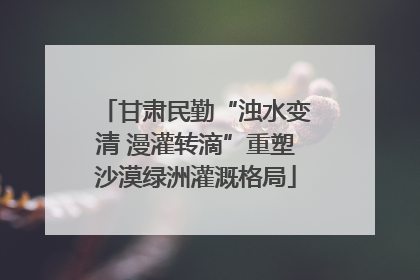 甘肃民勤“浊水变清 漫灌转滴”重塑沙漠绿洲灌溉格局
