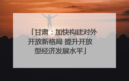 甘肃：加快构建对外开放新格局 提升开放型经济发展水平