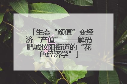 生态“颜值”变经济“产值”——解码肥城仪阳街道的“花色经济学”