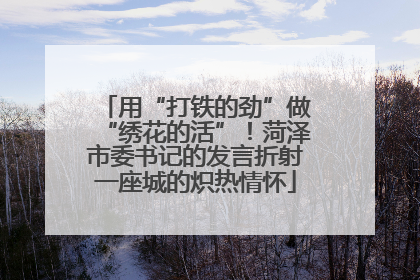 用“打铁的劲”做“绣花的活”！菏泽市委书记的发言折射一座城的炽热情怀