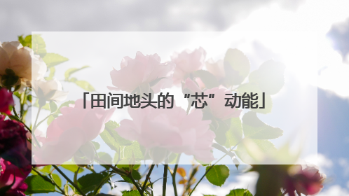 田间地头的“芯”动能