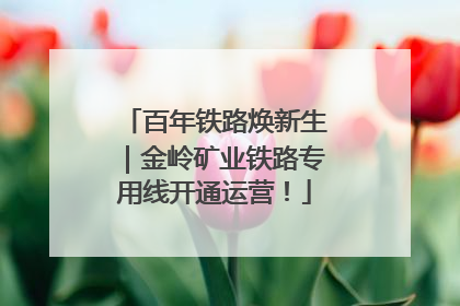 百年铁路焕新生｜金岭矿业铁路专用线开通运营！