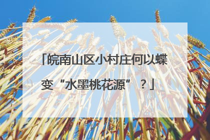 皖南山区小村庄何以蝶变“水墨桃花源”？