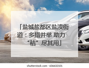 盐城盐都区盐渎街道：多措并举 助力“秸”尽其用