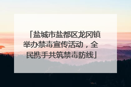 盐城市盐都区龙冈镇举办禁毒宣传活动，全民携手共筑禁毒防线