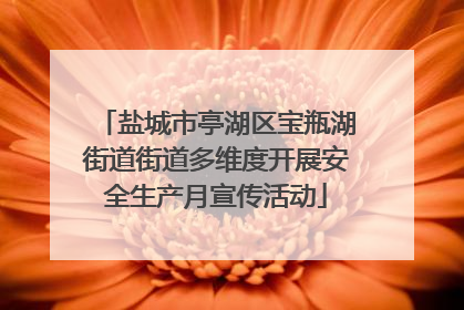盐城市亭湖区宝瓶湖街道街道多维度开展安全生产月宣传活动