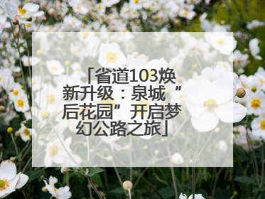 省道103焕新升级：泉城“后花园”开启梦幻公路之旅