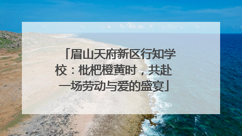 眉山天府新区行知学校：枇杷橙黄时，共赴一场劳动与爱的盛宴