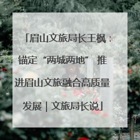 眉山文旅局长王枫：锚定“两城两地” 推进眉山文旅融合高质量发展｜文旅局长说