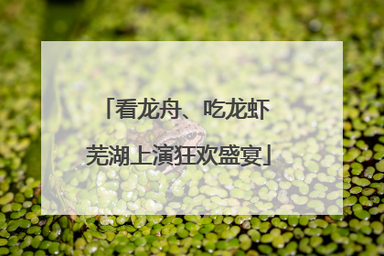 看龙舟、吃龙虾 芜湖上演狂欢盛宴