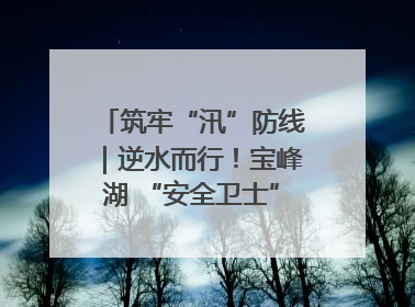 筑牢“汛”防线｜逆水而行！宝峰湖 “安全卫士” 出鞘 防汛应急再添硬核力量