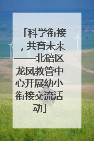 科学衔接，共育未来——北碚区龙凤教管中心开展幼小衔接交流活动