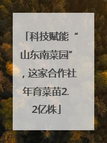 科技赋能“山东南菜园”，这家合作社年育菜苗2.2亿株