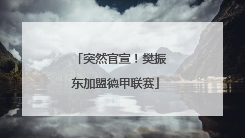 突然官宣！樊振东加盟德甲联赛