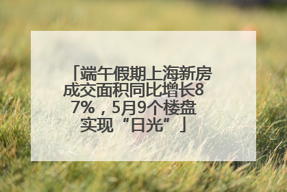 端午假期上海新房成交面积同比增长87%，5月9个楼盘实现“日光”