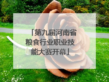 第九届河南省粮食行业职业技能大赛开幕