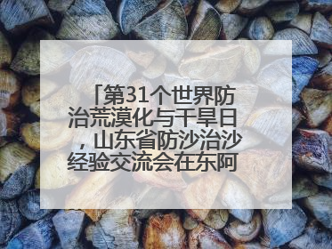第31个世界防治荒漠化与干旱日，山东省防沙治沙经验交流会在东阿县举办