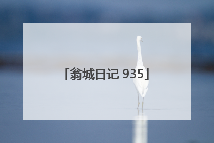 翁城日记 935