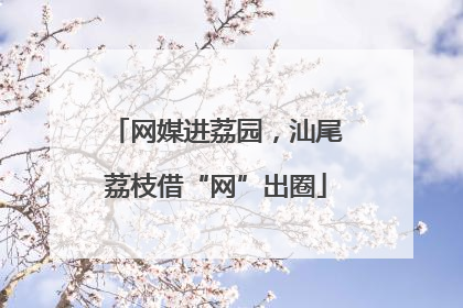 网媒进荔园，汕尾荔枝借“网”出圈