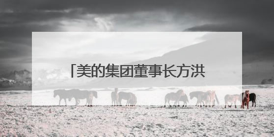 美的集团董事长方洪波：谁现在进入家电业，在战略上已经输了