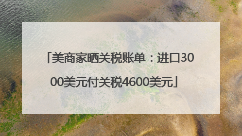 美商家晒关税账单：进口3000美元付关税4600美元