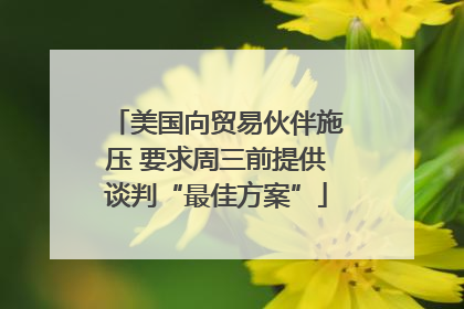 美国向贸易伙伴施压 要求周三前提供谈判“最佳方案”