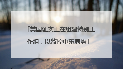 美国证实正在组建特别工作组，以监控中东局势
