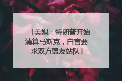 美媒：特朗普开始清算马斯克，白宫要求双方盟友站队