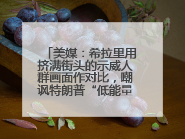 美媒：希拉里用挤满街头的示威人群画面作对比，嘲讽特朗普“低能量”阅兵式观众少