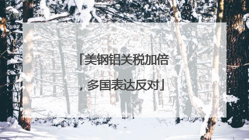 美钢铝关税加倍，多国表达反对